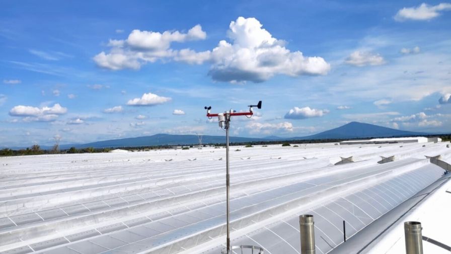 Intelligent Algorithms predict conditions, ensure crop uniformity, and boost efficiency — helping you achieve higher yields with fewer resources.